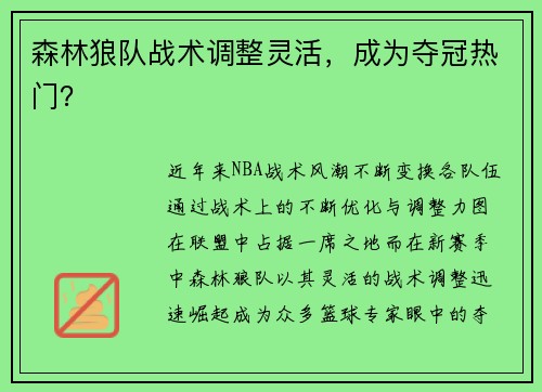 森林狼队战术调整灵活，成为夺冠热门？